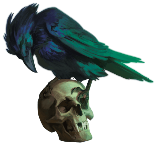 Raven perched on a skull