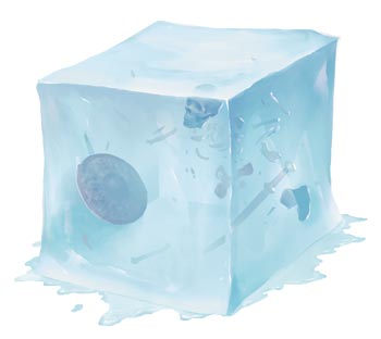 A blue-tinged cube with remnants of dissolved prey inside