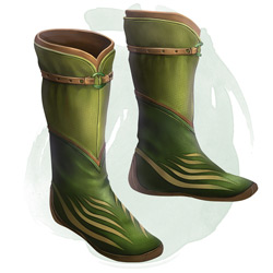 Green boots with gold embroidery