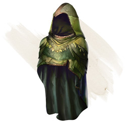 A green cloak with golden embroidery