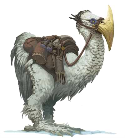 A white-feathered axe beak with saddle