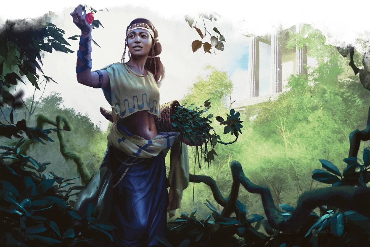 Dnd transport via plants