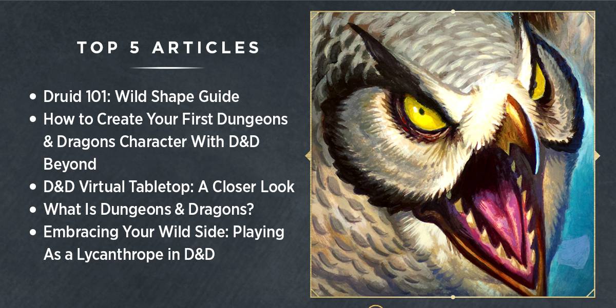Grey slate background. Title of image reads, "Top 5 Articles." Text beside an owlbear reads, "1. Druid 101: Wild Shape Guide 2. How to Create Your First Dungeons & Dragons Character With D&D Beyond 3. D&D Virtual Tabletop: A Closer Look 4. What Is Dungeons & Dragons? 5. Embracing Your Wild Side: Playing As a Lycanthrope in D&D"