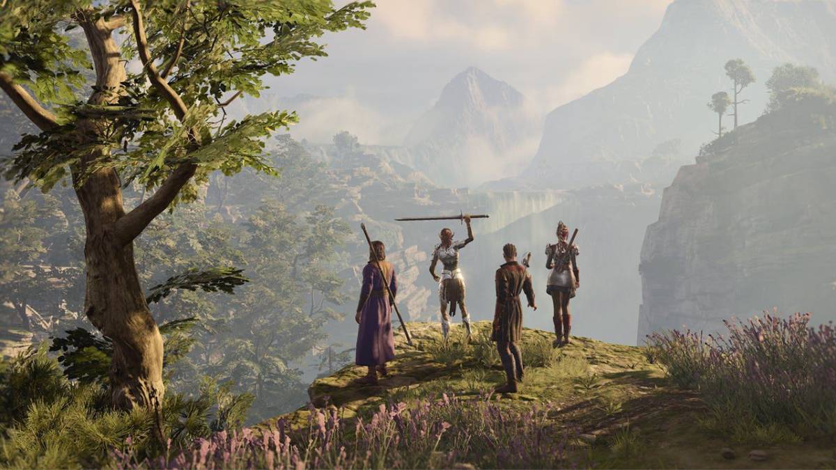 A party of adventurers stand at a vista overlooking mountains.