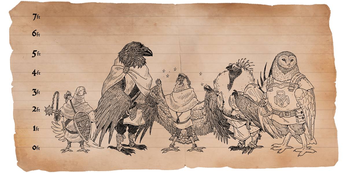 Pen and paper drawings of birdfolk and their respective heights.