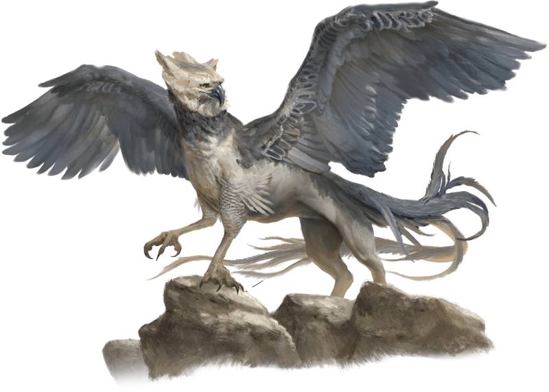 A white and grey-feather griffon.