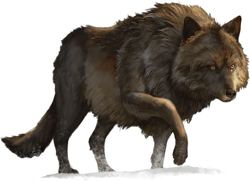 A dire wolf