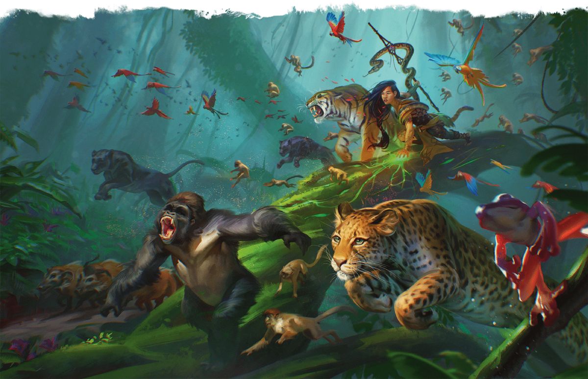 Inhabitants of the rain forest answer a druid’s summons