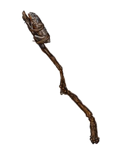Wand of Polymorph