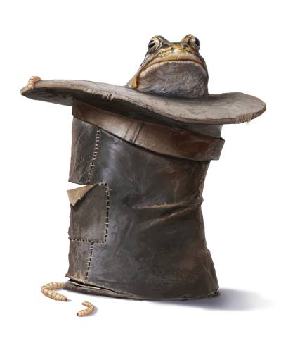 Hat of Vermin