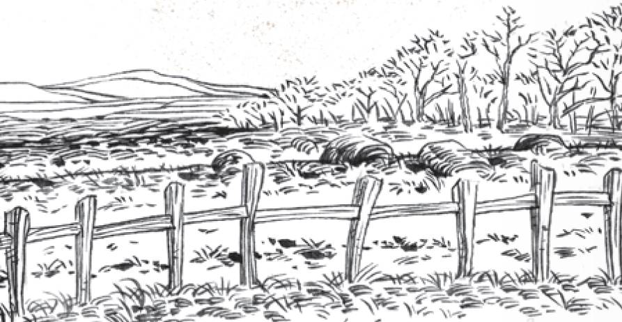 A black and white drawing of a blighted farmer's field