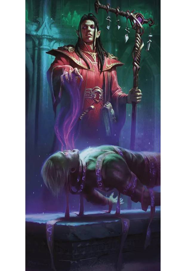 A Necromancer wizard commanding a horde of undead minions