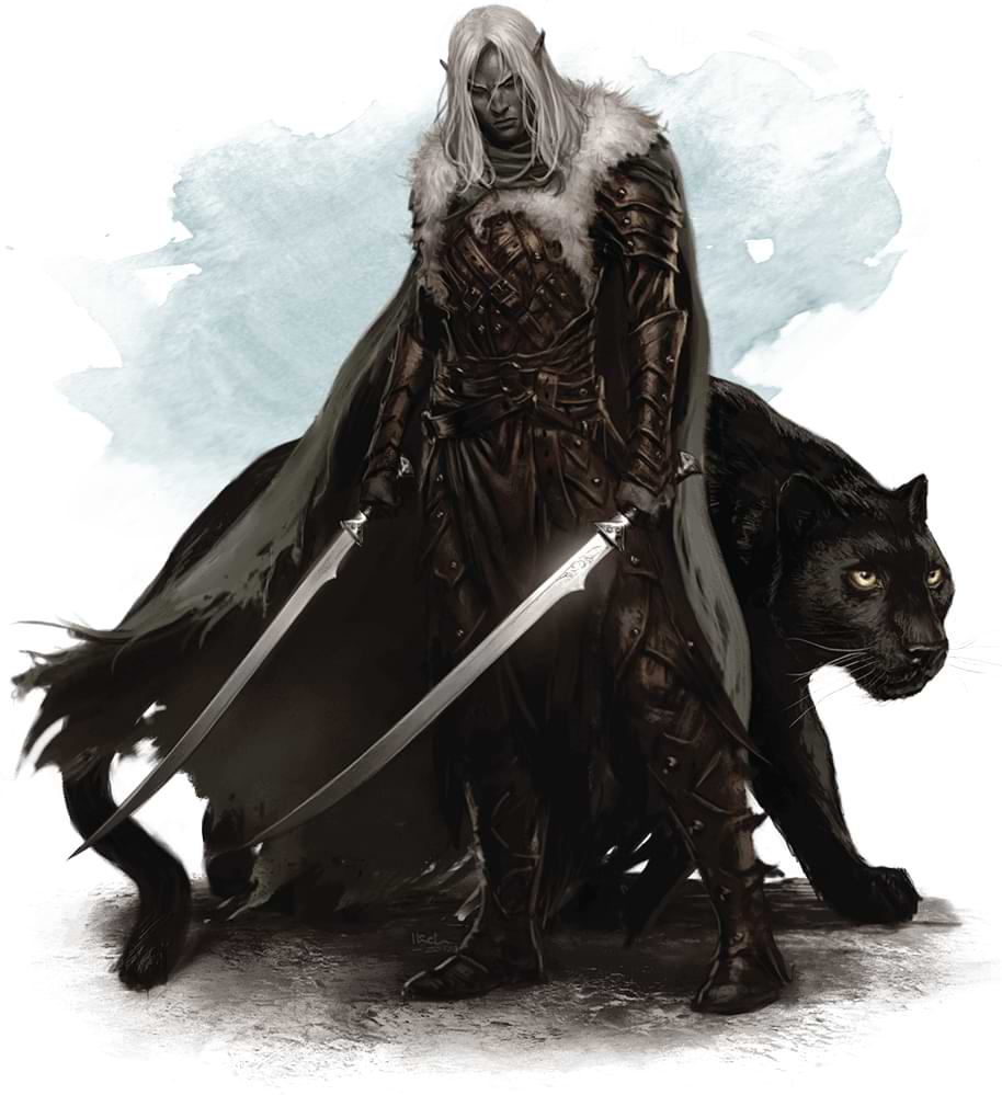 Drizzt and Guenhwyvar artwork