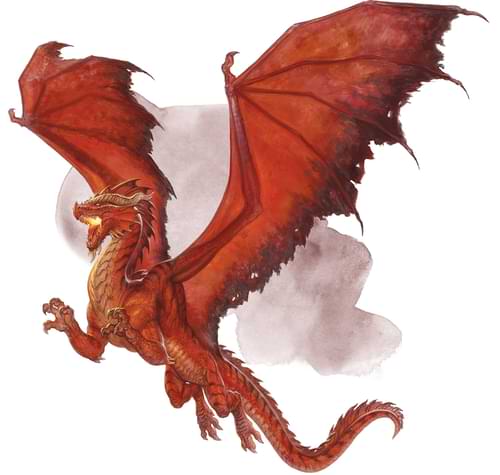 Young red dragon
