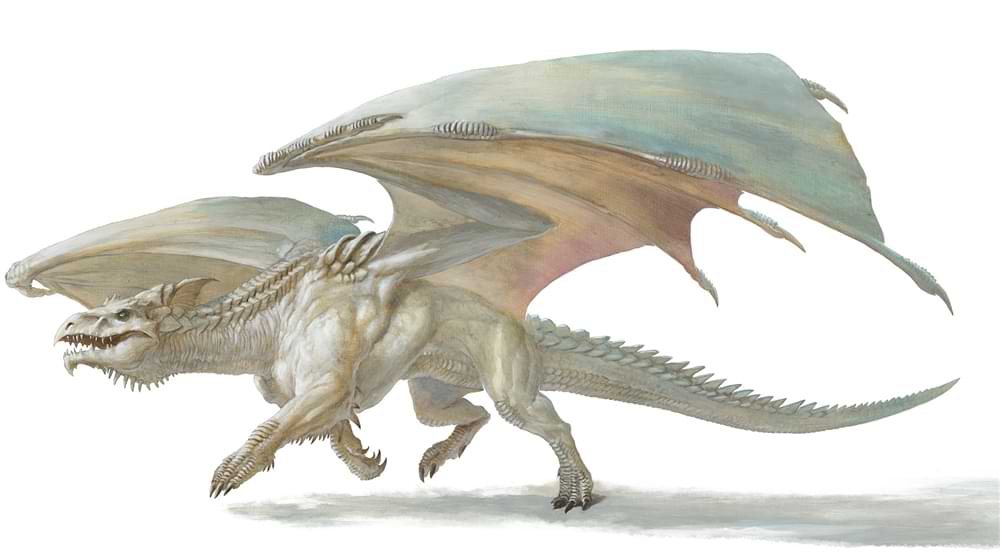 Young white dragon