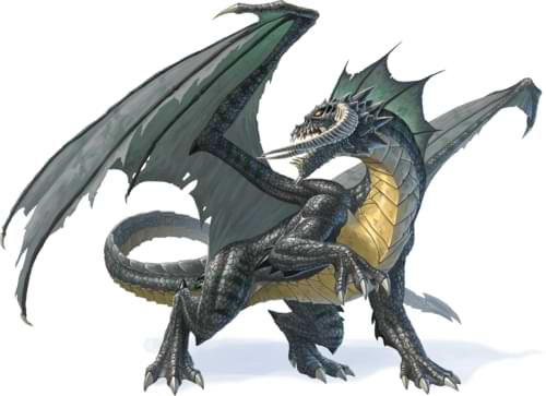 Black dragon from the Monster Manual