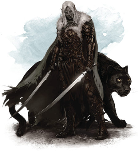 d&d combat pets