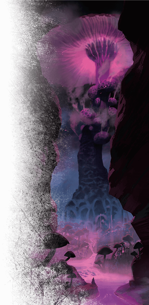 neverlight