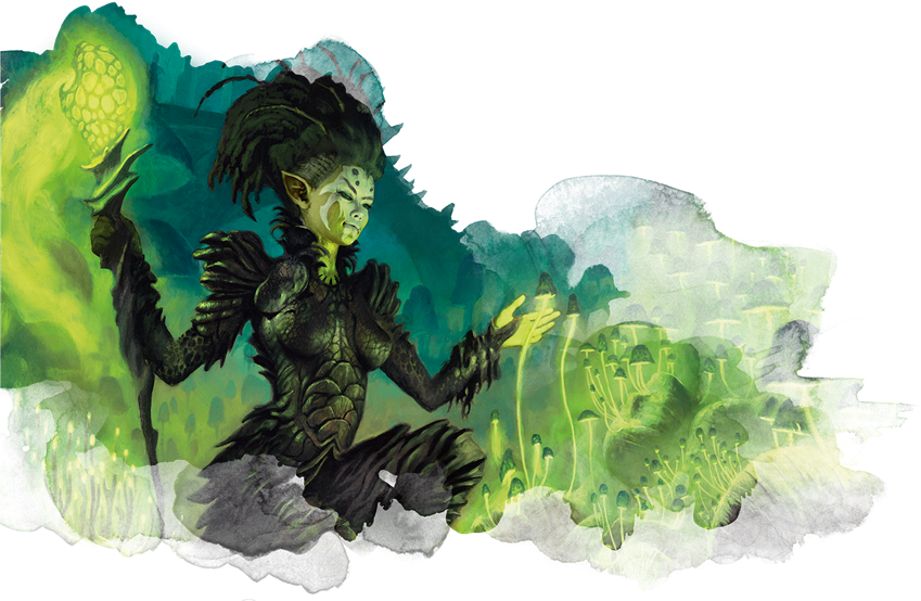 Druid 101 Circle of Spores Dungeons & Dragons