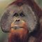 Redprim8's avatar
