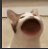 Symmet's avatar