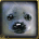 dMoly00's avatar