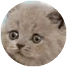 Dogeking_The_Second's avatar
