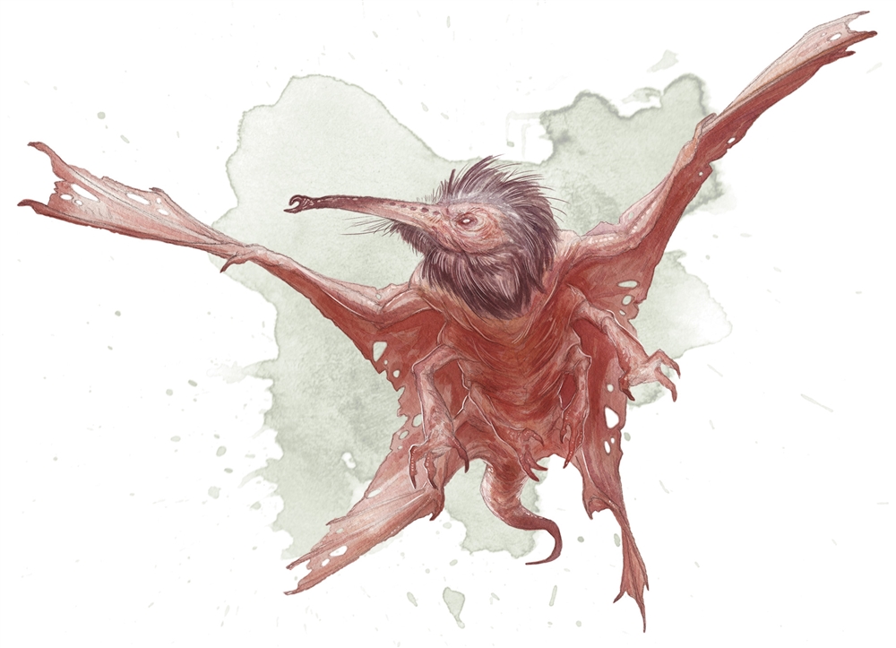dire bat d&d dire bat d&d