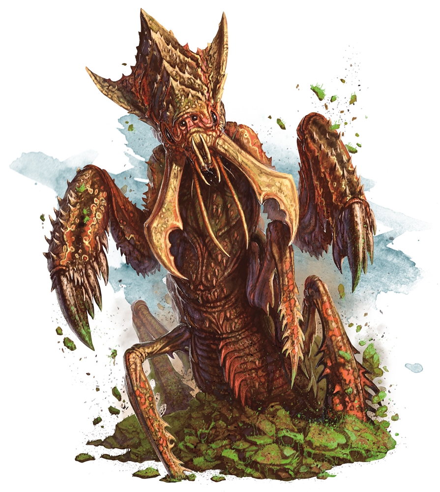bug race d&d bug race d&d