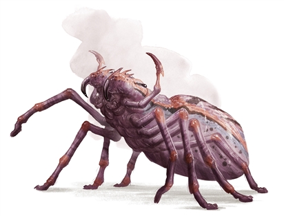 Giant Spider