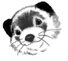 PC_Ferret's avatar