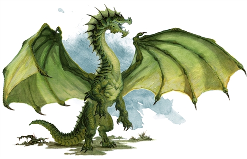 Young Green Dragon