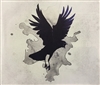 Bom_BARd's avatar