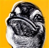 CoolDuck's avatar