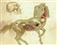 Azazelbishop's avatar