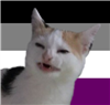 akeda's avatar
