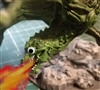 Morgle's avatar