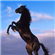 WildStallion67's avatar