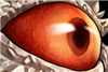 Xerodar's avatar