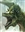 RegnenRathe54's avatar