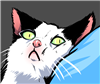 SoltySketches's avatar