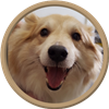 Ceropio's avatar