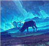 Ravnie's avatar