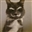 The_PT's avatar