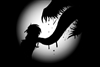 critGk's avatar