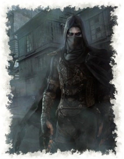 Assassin's Heir Image