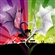 natakutdh's avatar