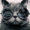 MelodiousShark's avatar