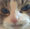 RedJive1's avatar