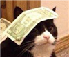 Macrocell's avatar
